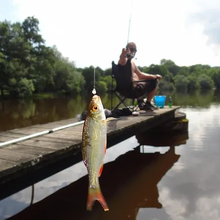 De L'etang - Parc Des Volcans D'auvergne *