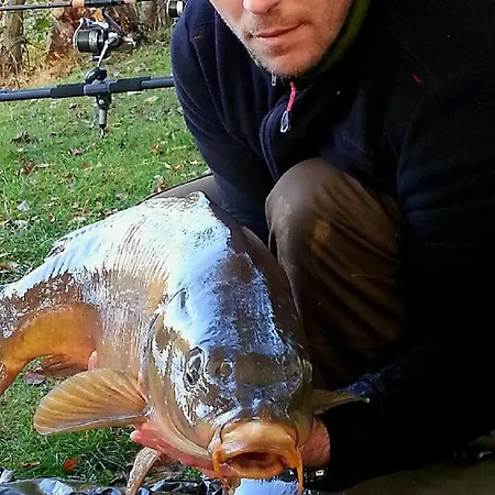 De L'etang - Parc Des Volcans D'auvergne * Loubeyrat